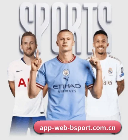 www.app-web-bsport.com.cn的故事